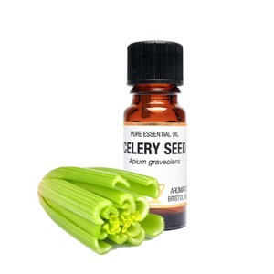 110_celery seed_bottle+compo copy_300x300.jpg